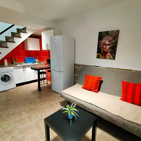 Apartment Dunaflor Grey *